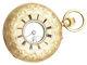 18 Ct Yellow Gold Ladies Pocket Watch, Half Hunter Antique Victorian