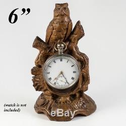 Antique HC Black Forest Animalier Carving, Owl is Pocket Watch Holder, Stand