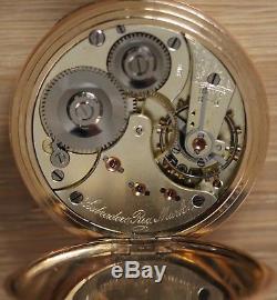Antique very rare Omega Labrador Gold Pocket Watch c1897